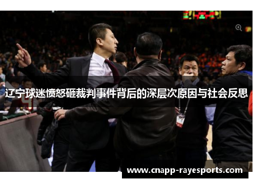辽宁球迷愤怒砸裁判事件背后的深层次原因与社会反思 辽宁球迷愤怒砸裁判事件背后的深层次原因与社会反思