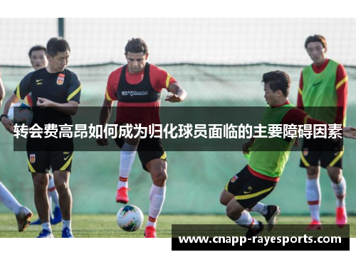 转会费高昂如何成为归化球员面临的主要障碍因素 转会费高昂如何成为归化球员面临的主要障碍因素