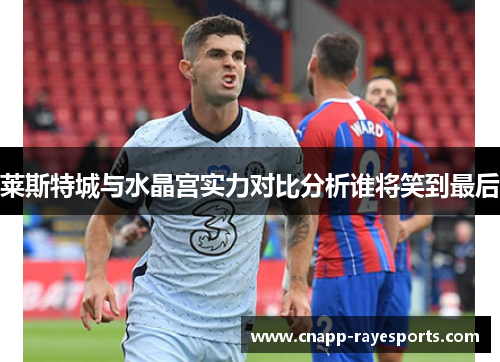 莱斯特城与水晶宫实力对比分析谁将笑到最后 莱斯特城与水晶宫实力对比分析谁将笑到最后
