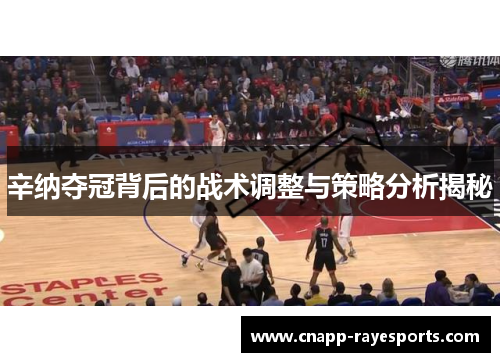 辛纳夺冠背后的战术调整与策略分析揭秘