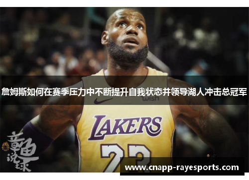詹姆斯如何在赛季压力中不断提升自我状态并领导湖人冲击总冠军