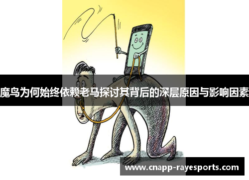 魔鸟为何始终依赖老马探讨其背后的深层原因与影响因素 魔鸟为何始终依赖老马探讨其背后的深层原因与影响因素
