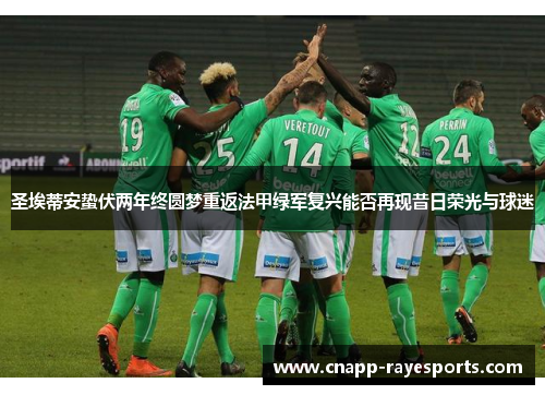 圣埃蒂安蛰伏两年终圆梦重返法甲绿军复兴能否再现昔日荣光与球迷 圣埃蒂安蛰伏两年终圆梦重返法甲绿军复兴能否再现昔日荣光与球迷